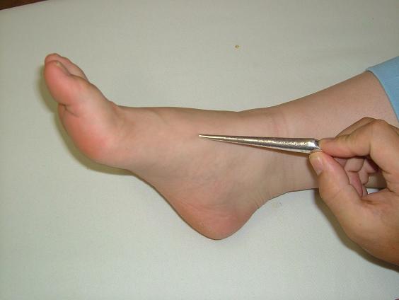 �������̎挊�ʐ^